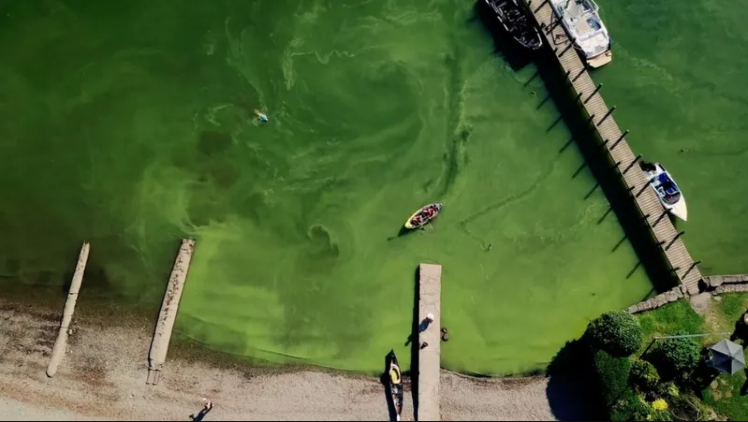 البحيرة باللون الأخضر (حملة «أنقذوا ويندرمير»)