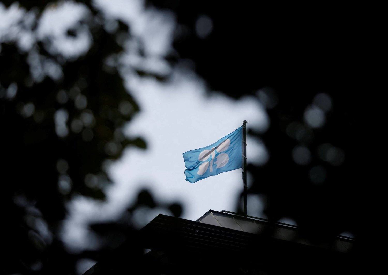 علم أوبك يرفرف فوق مقرها بمدينة فيينا حيث تتجه الأنظار يوم الأحد لمعرفة نتائج الاجتماع المقبل لتحالف أوبك بلس (رويترز)