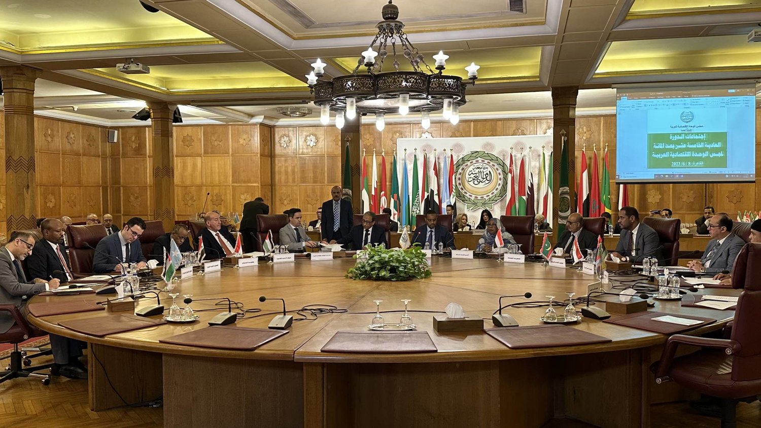 افتتاح الدورة 115 لـ«مجلس الوحدة الاقتصادية العربية» الخميس (الشرق الأوسط)