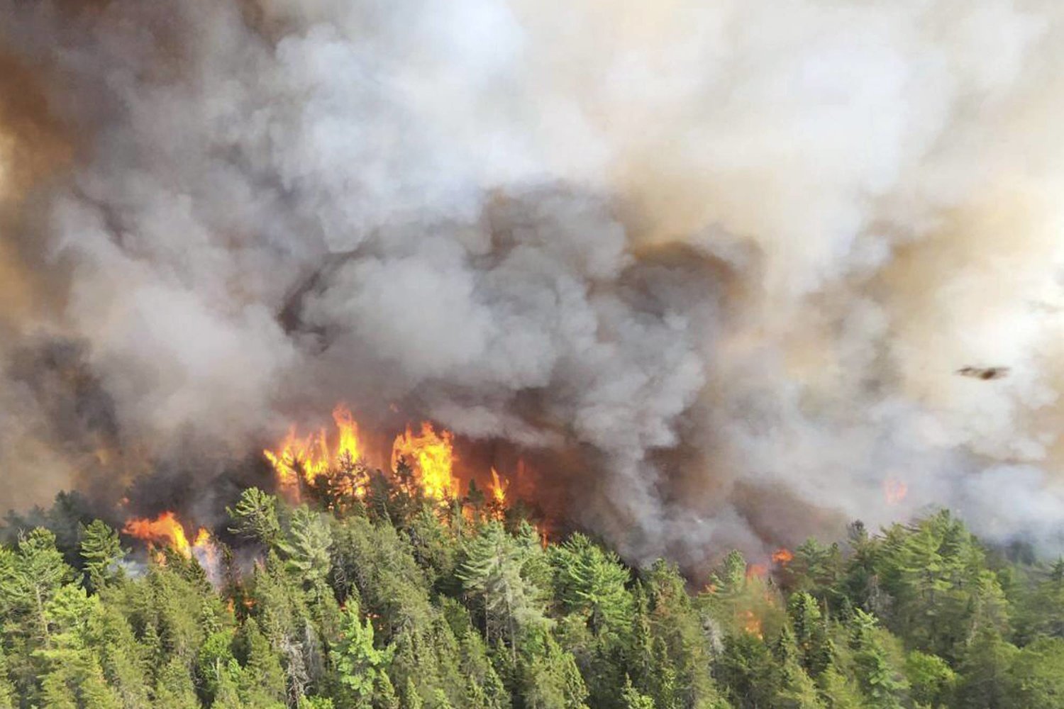 حريق في غابة في أونتاريو الأحد الماضي (أ.ب)
