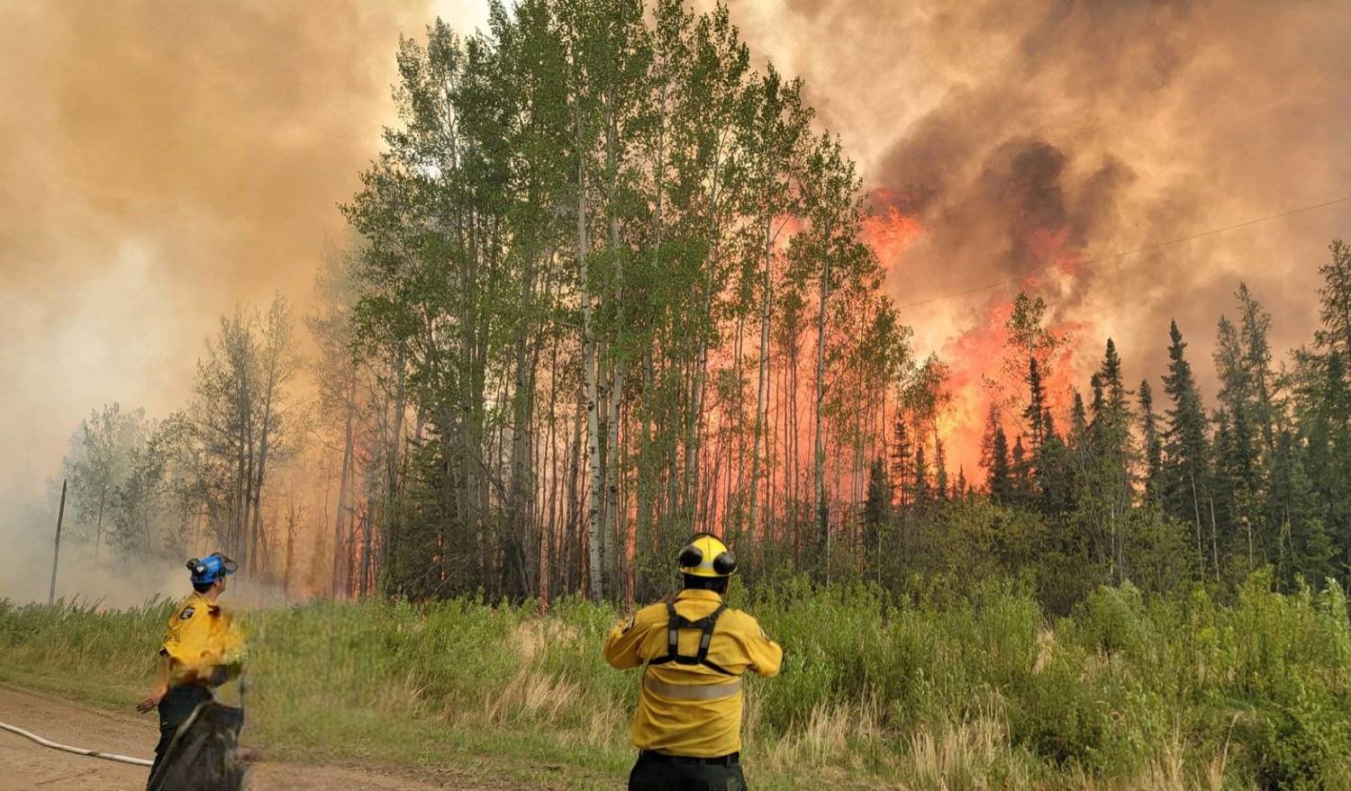 رجال إطفاء ينظرون إلى النيران المشتعلة في إحدى غابات ألبرتا بكندا (رويترز)