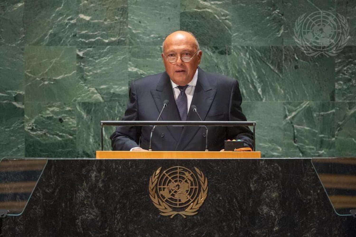 سامح شكري خلال إلقائه كلمة مصر أمام الجمعية العامة للأمم المتحدة (وزارة الخارجية المصرية)