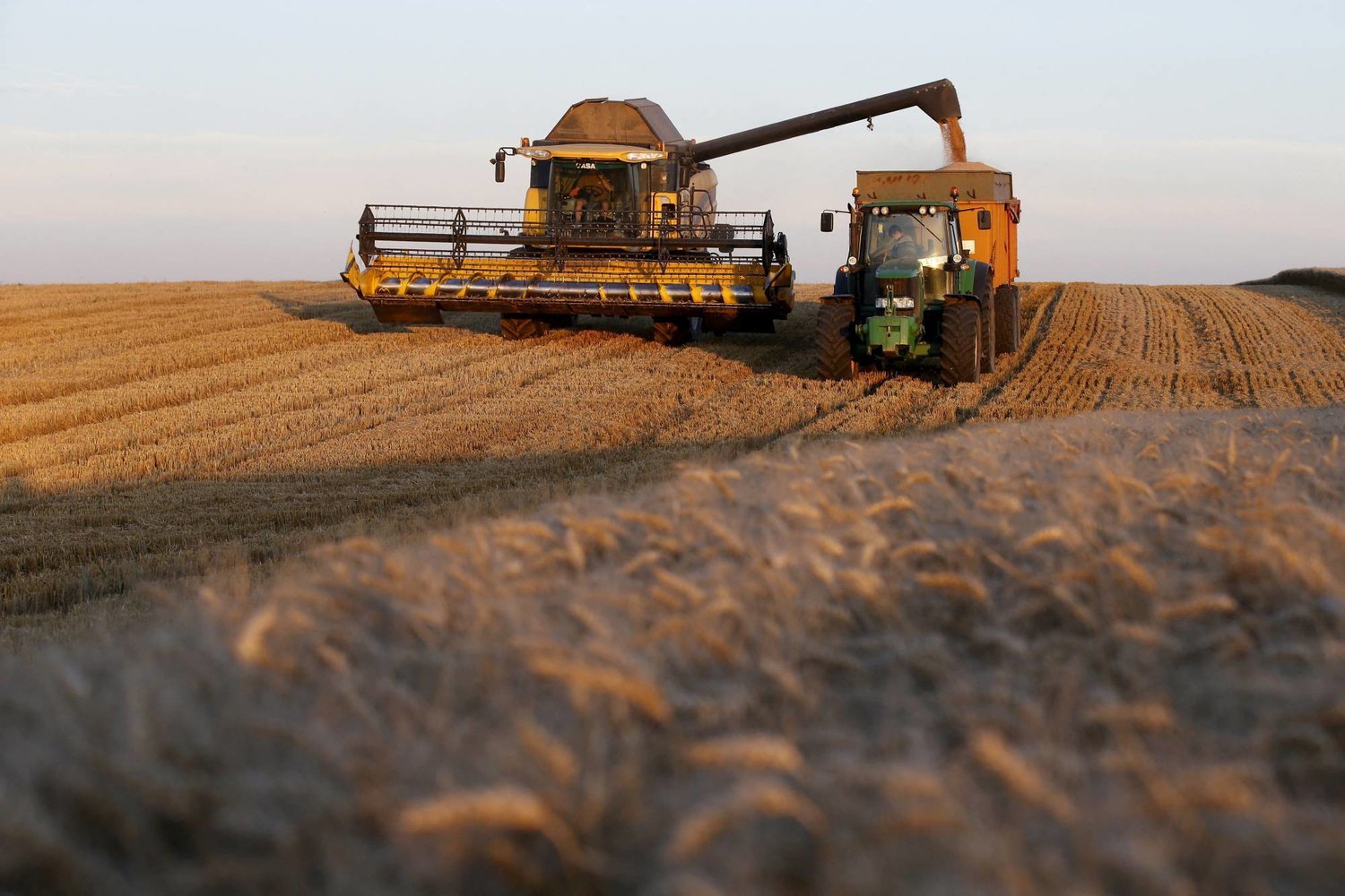 مزارع فرنسي يحصد القمح في أحد الحقول بشمال البلاد (رويترز)