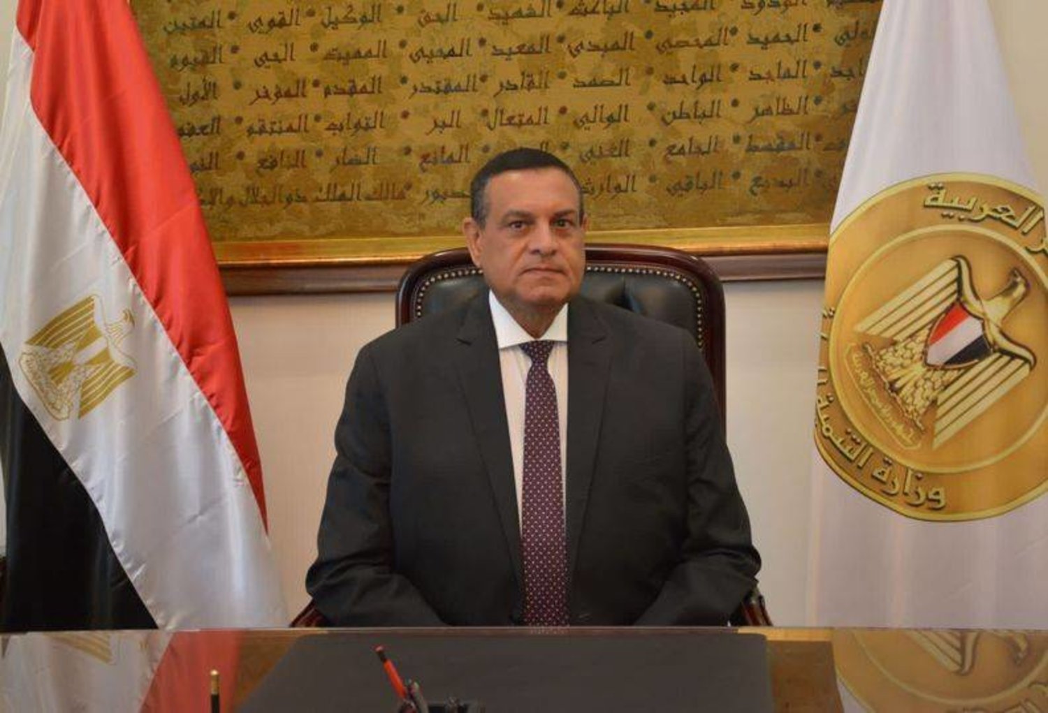 هشام آمنة وزير التنمية المحلية المصري (مجلس الوزراء المصري)