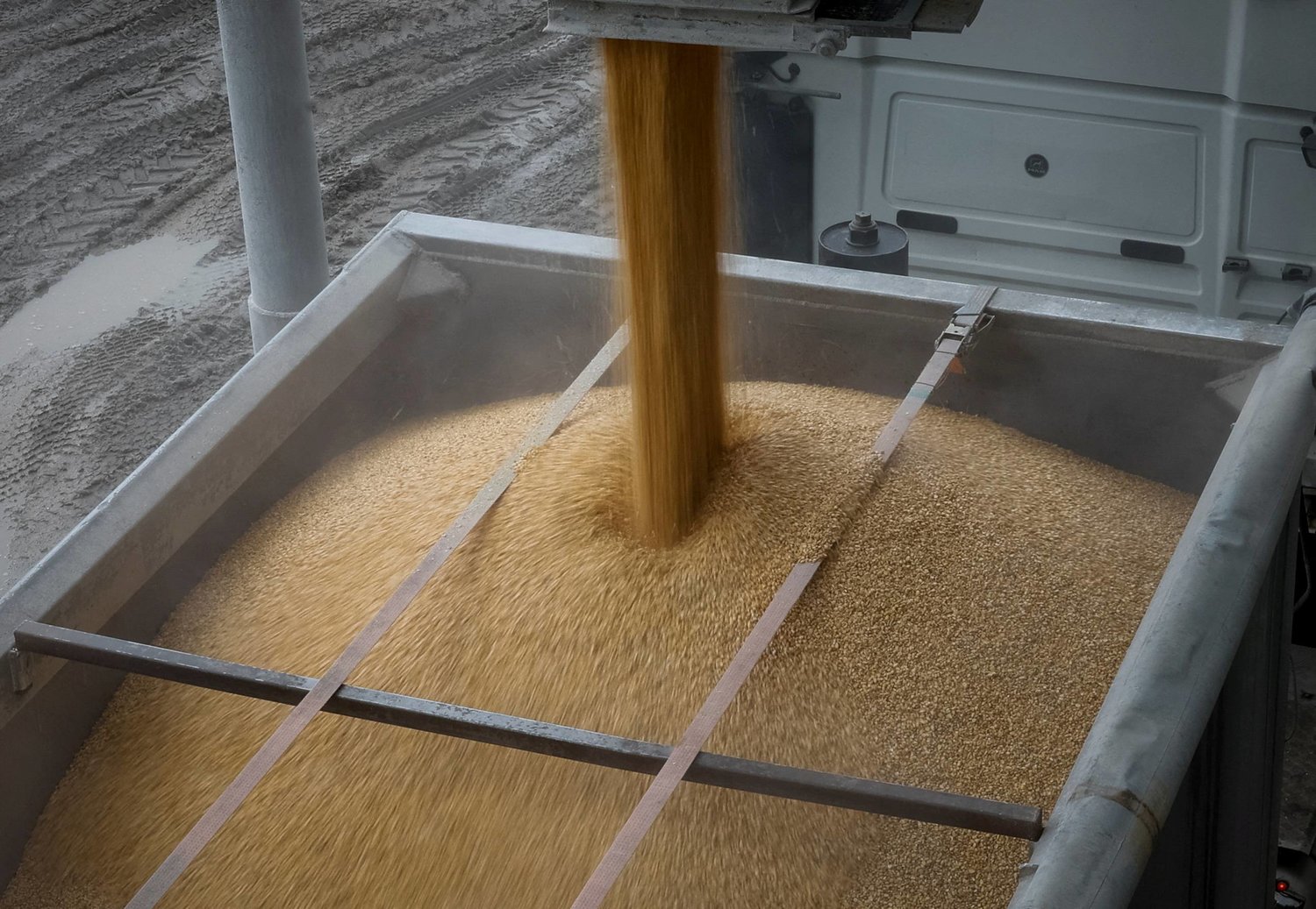 تحميل الذرة في شاحنة بمنشأة لتخزين الحبوب في قرية بيلوهيريا الأوكرانية (رويترز)