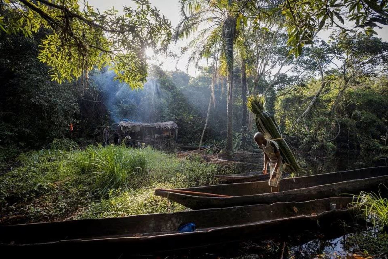 مواطن محلي يبحر على مركب صغير بأحد الأنهار داخل غابة كثيفة في جمهورية الكونغو الديمقراطية (رويترز)