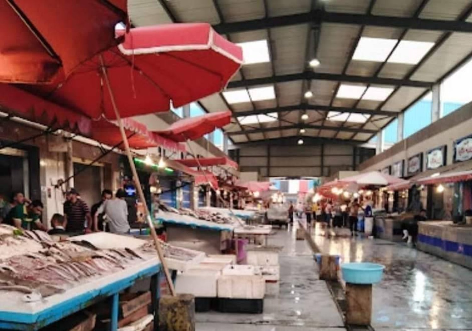 مشاهد من أسواق السمك في بورسعيد بدون زبائن (مشاركون بحملة المقاطعة - إكس)