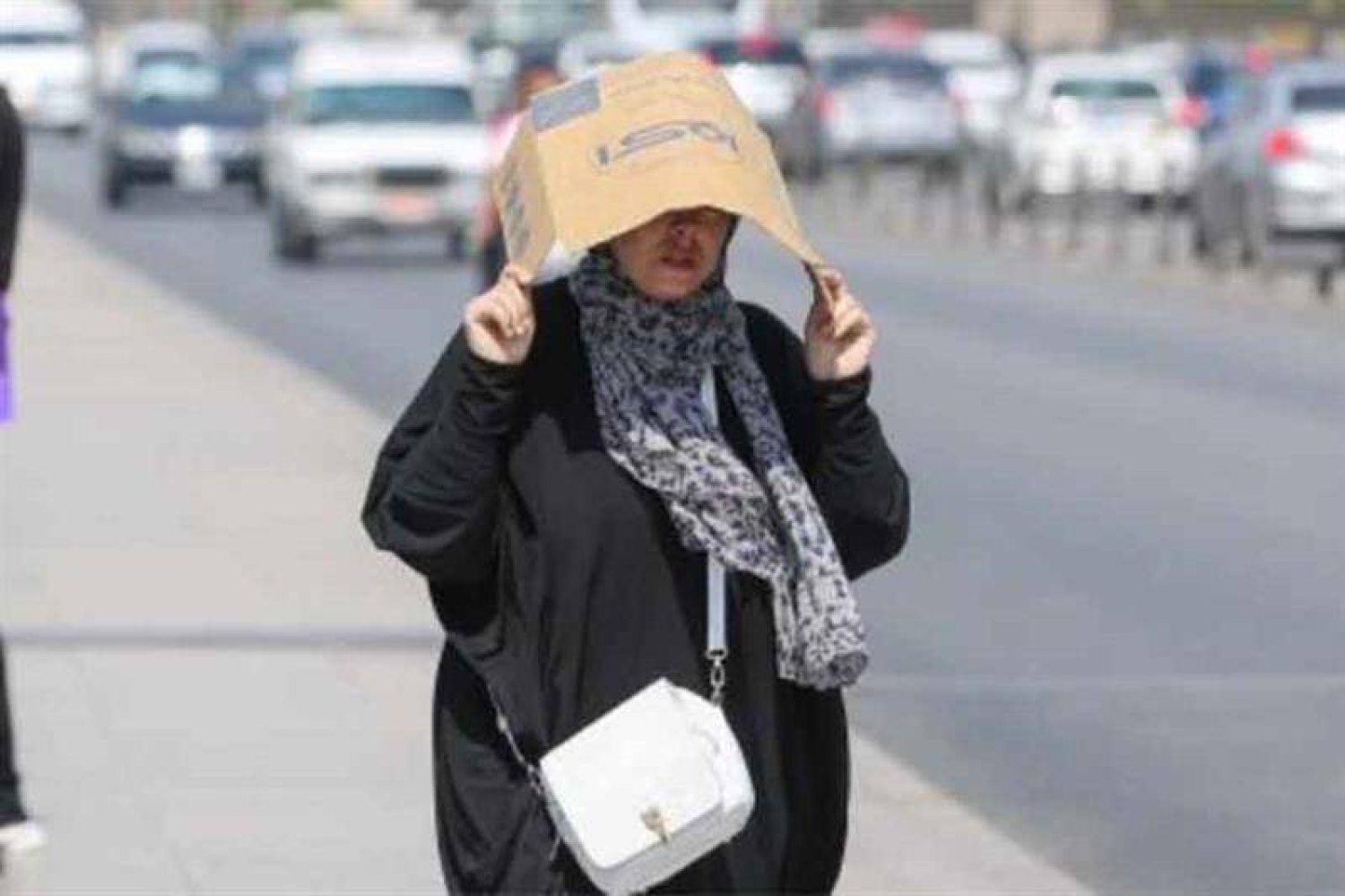 سيدة تغطي رأسها من حرارة الشمس في القاهرة (أرشيفية - رويترز)