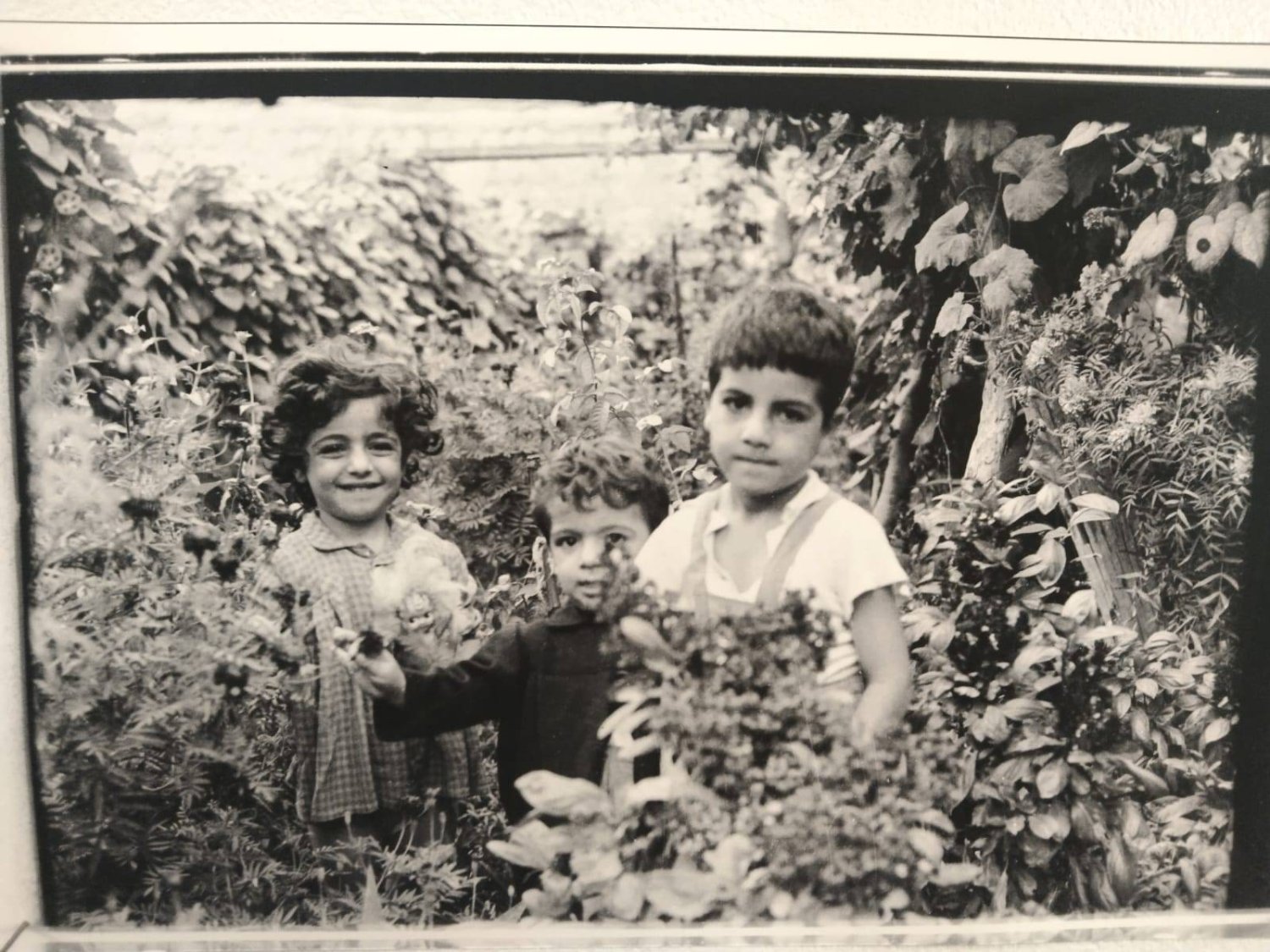أطفال غزة بعين المصوِّر الأرميني (الشرق الأوسط)