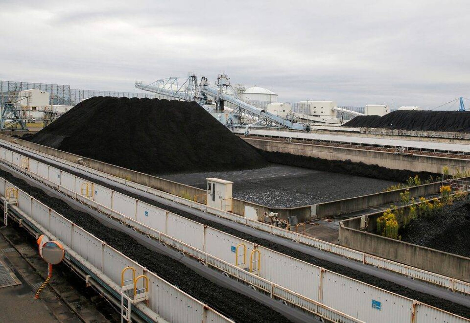 أكوام من الفحم في محطة «هيكينان» للطاقة الحرارية بوسط اليابان العضو في «مجموعة السبع» (رويترز)