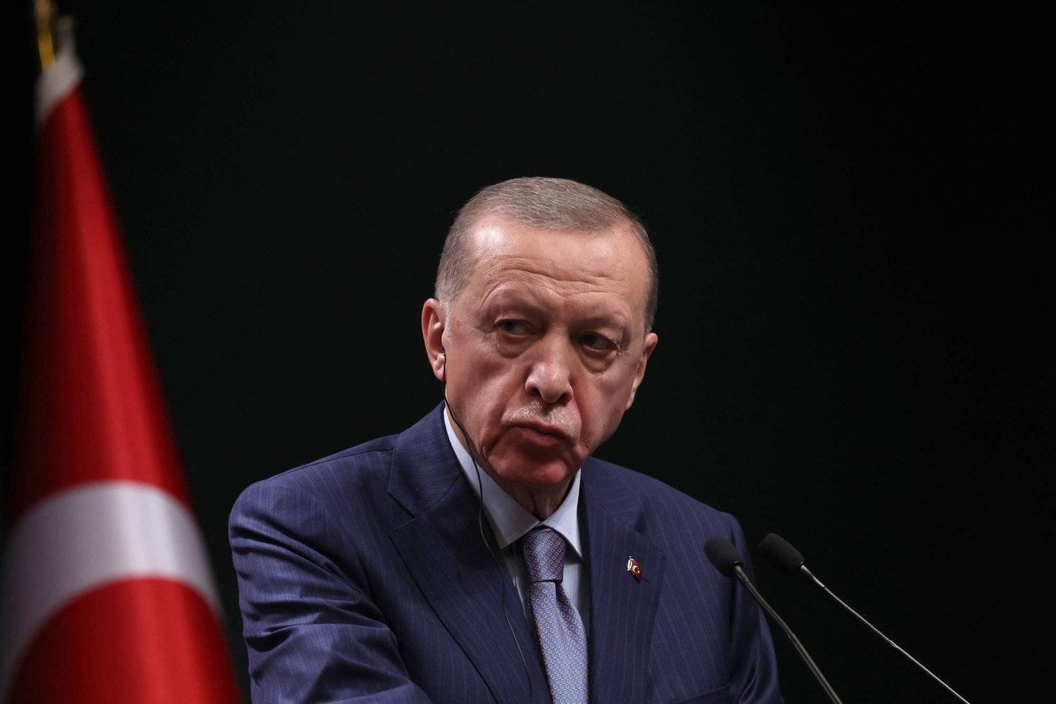 الرئيس التركي رجب طيب إردوغان (أ.ف.ب)