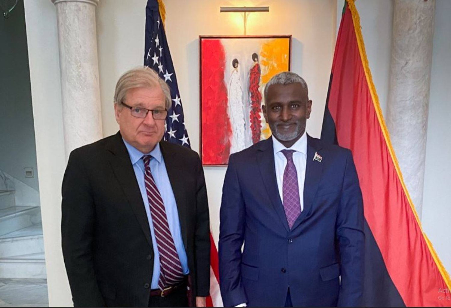 المبعوث الأميركي ووزير الشؤون الأفريقية بالحكومة الليبية عيسى عبد المجيد (السفارة الأميركية)