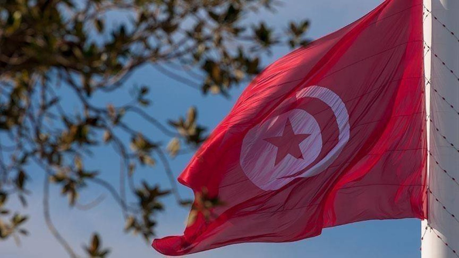 علم تونس (رويترز)