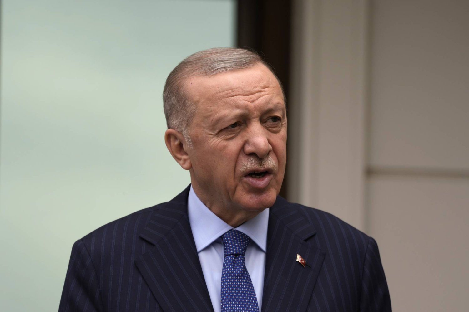 الرئيس التركي رجب طيب إردوغان (أ.ب)