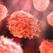 إزالة الكروموسومات الزائدة في الخلايا السرطانية يمنع نمو الأورام الخبيثة