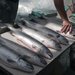 الأسماك الزيتية تحتوي على أحماض «أوميغا 3» الدهنية (رويترز)