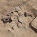 مصر: الكشف عن مجموعة كبيرة من الأواني الأثرية بالإسماعيلية
