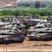 هل يكون جنوب لبنان الهدف التالي للدبابات الإسرائيلية؟ (أ.ف.ب)